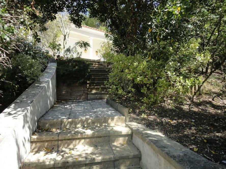 Grande Terrasse 800M Plage Demoiselles سان جان دي مونت المظهر الخارجي الصورة